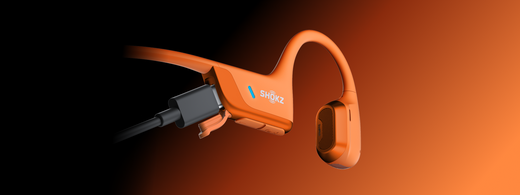 What is a Type C Charger and Why It's the Future of Charging?