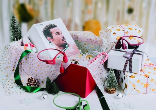 DEAR SANTA CLAUS:  WHAT GIFT WOULD SUIT MY WHOLE FAMILY THIS CHRISTMAS?